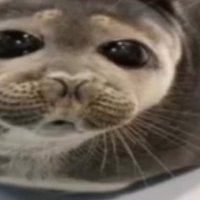poseidon son (@caaarminaa) 's Twitter Profile