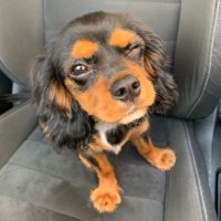 Mindful_Atoms (@mindful_atoms) 's Twitter Profile