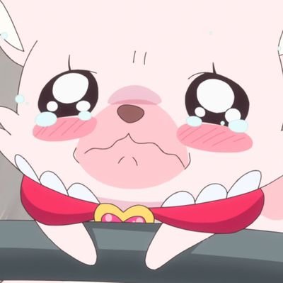 Poochyさんのプロフィール画像