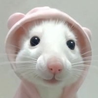 กินข้าวยังจ๋า (@mummemummar) 's Twitter Profile Photo กินข้าวยังจ๋า (@mummemummar) 's Twitter Profile Photo
