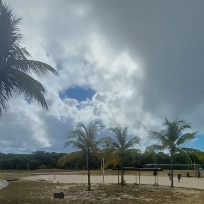 dehnerys25's profile picture. 