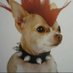 Chicho! (@chicho404) Twitter profile photo Chicho! (@chicho404) Twitter profile photo