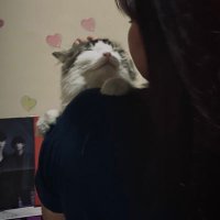 hada (@hadaaalee) 's Twitter Profile