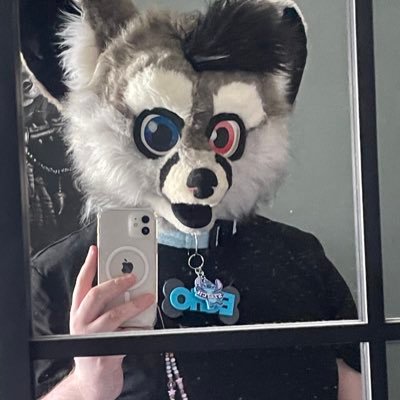 Echo_Fox01's profile picture. 