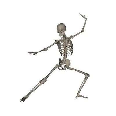 ✨💀 Esqueliquitroco💀✨さんのプロフィール画像