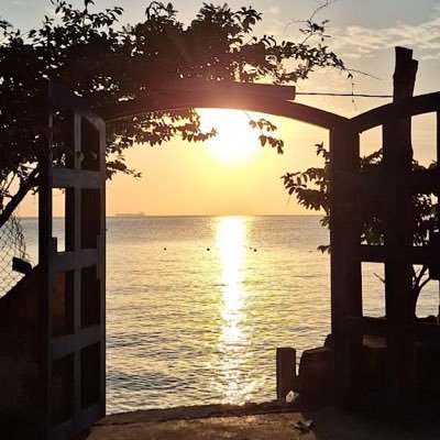 tabogapanama's profile picture. Whatsapp:+507 6615-0977 #tabogapanama 
Brindamos información sobre #Taboga en #Panama
Ayudamos a los visitantes de nuestra querida isla.