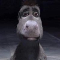 jawiifit (@jutturnawft) 's Twitter Profile