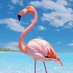Bella (@realcryptobella) Twitter profile photo Bella (@realcryptobella) Twitter profile photo