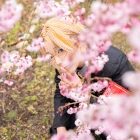 ぽん (@tanutanu_77) Twitter profile photo