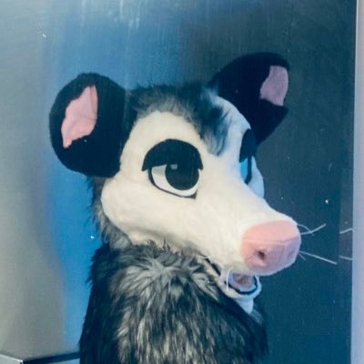 m 18 | Fursuiter | Opossum supremacy | Fursuit maker | Car enthusiast | (post)malaise era brainrot consumes me.