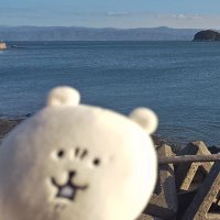 あくび@ʕ•ᴥ•ʔ (@akuvivivi) Twitter profile photo