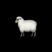 DON'T BE A 🐑 (@neversheepagain) Twitter profile photo DON'T BE A 🐑 (@neversheepagain) Twitter profile photo