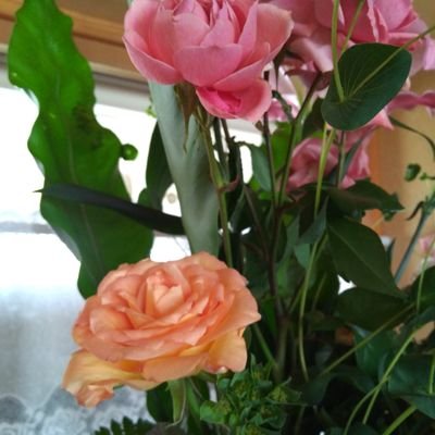 70代の主婦。 若い頃、海外ボランティア体験。孫2人 趣味 ー 温泉 、大相撲観戦 家庭連合一世 DMの返信は致しません