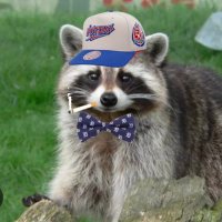 Cooner (@coonermsu) 's Twitter Profile