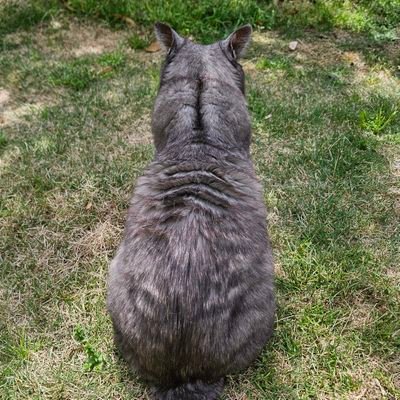 仕事はマジメに！仕事が終わったらオタクに！！