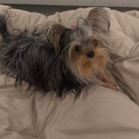 BT (@btkunb) 's Twitter Profile
