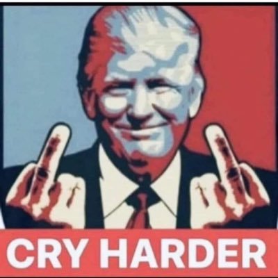 mlou1957's profile picture. 