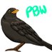 PBW (@pureblackwings) Twitter profile photo PBW (@pureblackwings) Twitter profile photo