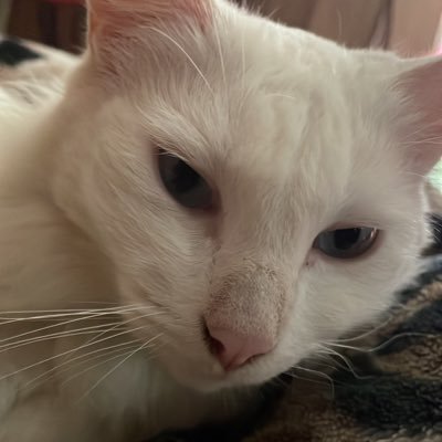 Alexand65239817's profile picture. Le encuentro interés a todo