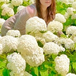 junpime's profile picture. I Luv ROCK🤘/マキシマム ザ ホルモン/m.o.v.e/V6/岩手/陸前高田/大船渡/LIVE HOUSE FREAKS/KRF/NO MUSIC,NO LIFE/岩手＆東北応援(発信)垢は別にあります◡̈*.。