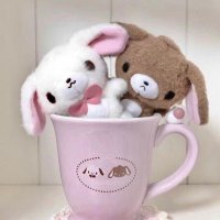 𝄞 mochie, lf moots ! ♪ (@mochieparfait) 's Twitter Profile