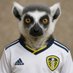 unbelievable hard (@leedslemur) Twitter profile photo unbelievable hard (@leedslemur) Twitter profile photo