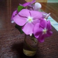 山川渡 (@yamakawa_wataru) Twitter profile photo