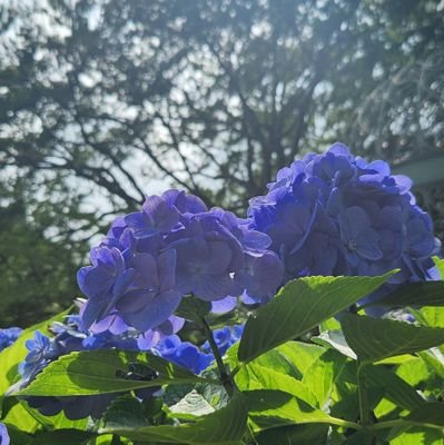 4yonyyy's profile picture. 🥷伊 と 雑 
忘バ  要圭