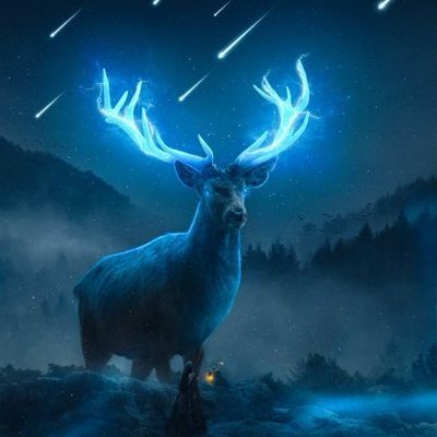 EthanBurto41611's profile picture. Let's talk about partnership