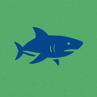 Alert shark (@bitcoinashark) 's Twitter Profile Photo Alert shark (@bitcoinashark) 's Twitter Profile Photo