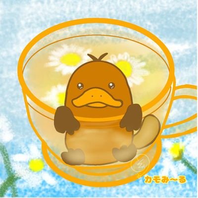 そらまる🌿さんのプロフィール画像