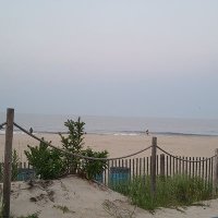 back_to_reality (@back_2_reality3) 's Twitter Profile