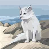 fioub18167895's profile picture. 