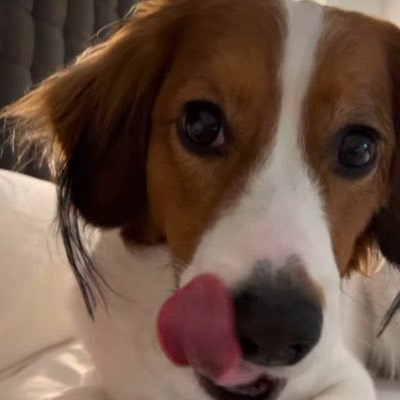 pbMCRx33pX1180's profile picture. 27卒/東京一工/院生