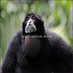Luismiguel Julio Paz (@luismiguel49493) Twitter profile photo Luismiguel Julio Paz (@luismiguel49493) Twitter profile photo