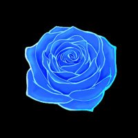 M (@ratherunique000) 's Twitter Profile