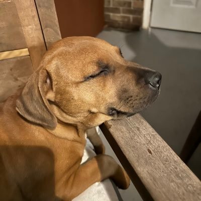 BeGucci__'s profile picture. My mind has won, the blunt is lit; Grave is dug, hotbox the casket. $uicideboy$