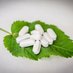 Swastik pharmaceuticals (@swastikpharma1) Twitter profile photo Swastik pharmaceuticals (@swastikpharma1) Twitter profile photo