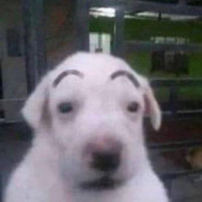 긍さんのプロフィール画像