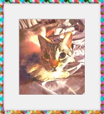 FComes59178's profile picture. 