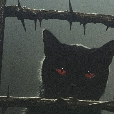 fazoskyy's profile picture. essa