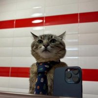Erratic&optimism☔️ (@natha19491353) 's Twitter Profile Photo Erratic&optimism☔️ (@natha19491353) 's Twitter Profile Photo
