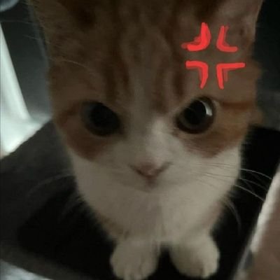pejgjekkw's profile picture. 