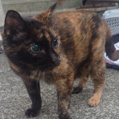 べリークルシミマシタさんのプロフィール画像