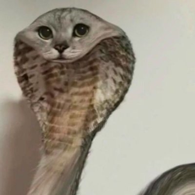 fr1st0ry's profile picture. cs2 player from ukraine 13 yo