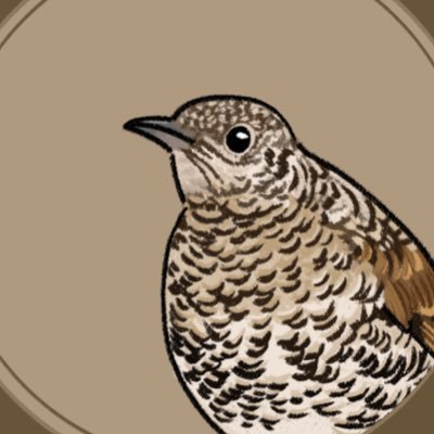 akarin_manmaru's profile picture. 日本の自然、野生動物が好き。生きものの観察👀📷→魅力詰まった作品製作中✏️