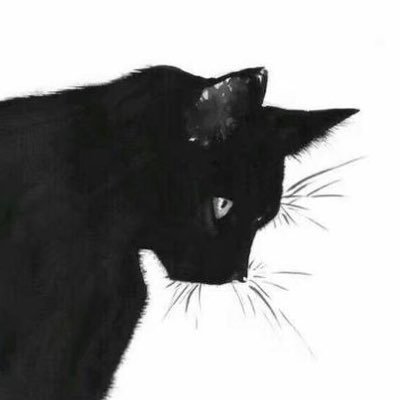 pawpopa's profile picture. 🐱🌳✨💖🚀🤖🌌