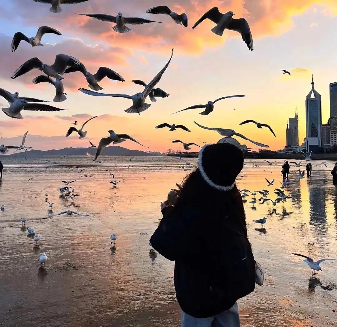 LenniePoll31359's profile picture. gods determine what going to be.