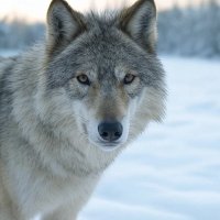 Umut (@parionn7) Twitter profile photo