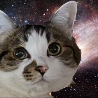 Die28chan (@senketu28) 's Twitter Profile